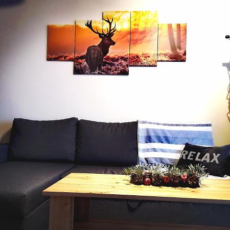 Apartament Lenka Karkonosze Apartment Jelenia Góra Екстериор снимка